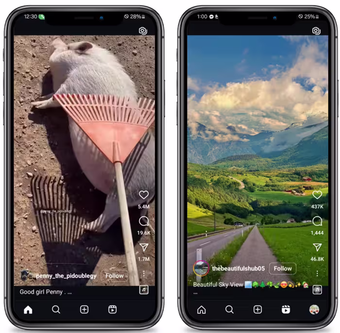 tips-for-downloading-insta-reels